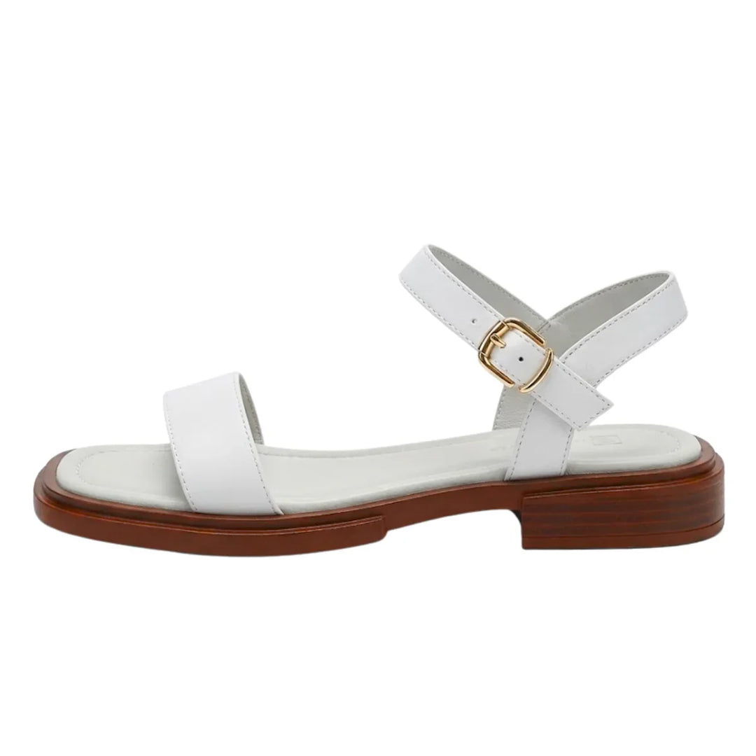 Willa | Women's Ankle Strap Flat Sandals - Black - Image 5