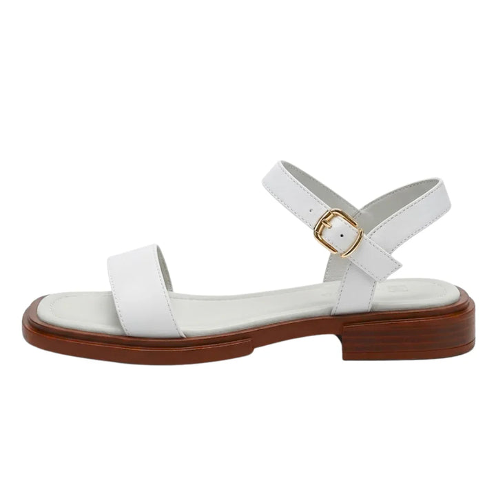 Willa | Women's Ankle Strap Flat Sandals - Black - Image 5